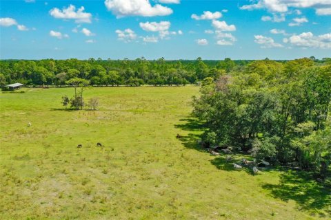 Land in Bunnell, Florida № 1376978 - photo 11