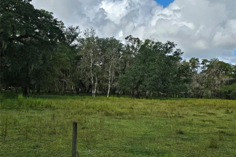 Land in Bunnell, Florida № 1376978 - photo 4