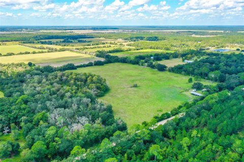 Terrain à vendre à Bunnell, Floride № 1376978 - photo 6