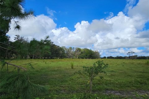 Terrain à vendre à Bunnell, Floride № 1376978 - photo 3