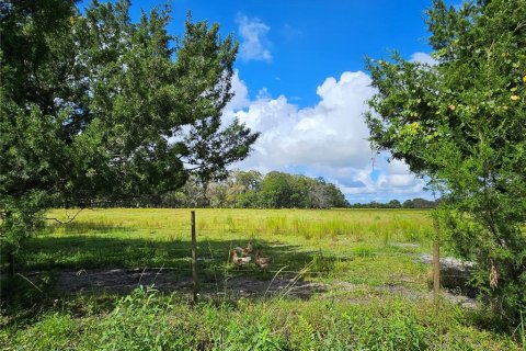 Land in Bunnell, Florida № 1376978 - photo 2