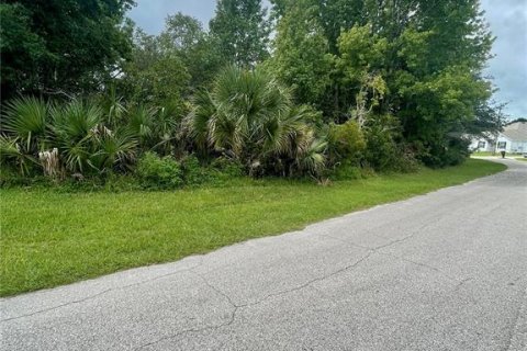 Terreno en venta en Palm Coast, Florida № 1344743 - foto 3