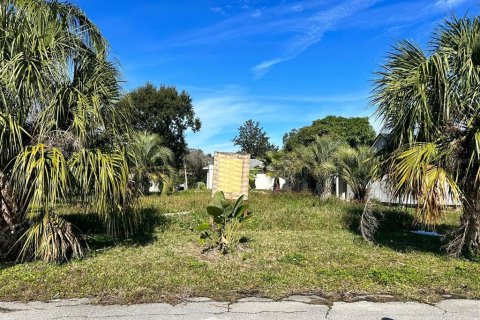 Land in Winter Garden, Florida № 1346370 - photo 1