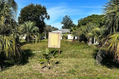 Land in Winter Garden, Florida № 1346370 - photo 2