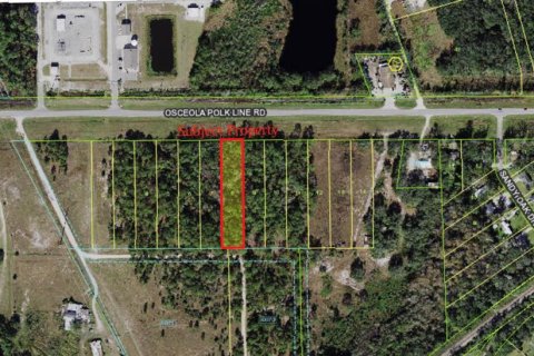 Land in Davenport, Florida № 1400489 - photo 3