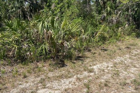 Terreno en venta en Port Charlotte, Florida № 1062320 - foto 2