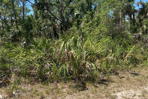 Terreno en venta en Port Charlotte, Florida № 1062320 - foto 7