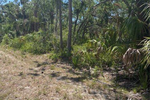 Terreno en venta en Port Charlotte, Florida № 1062320 - foto 5