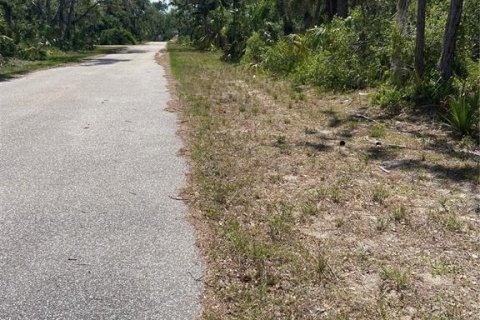 Terreno en venta en Port Charlotte, Florida № 1062320 - foto 4