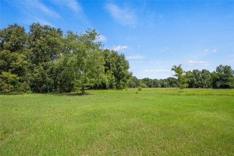 Land in Weirsdale, Florida № 1304573 - photo 12