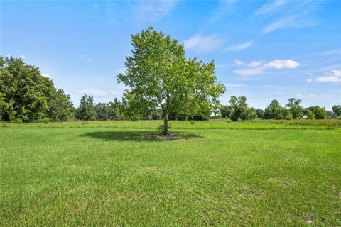 Land in Weirsdale, Florida № 1304573 - photo 1