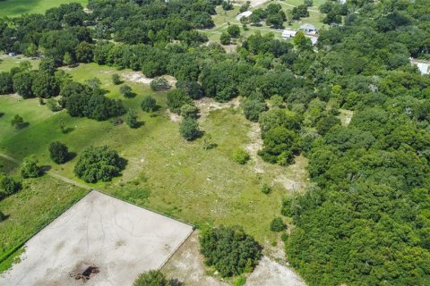 Land in Weirsdale, Florida № 1304573 - photo 9