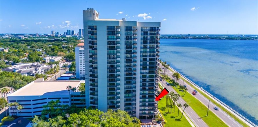 Condo à Tampa, Floride, 2 chambres  № 1277198