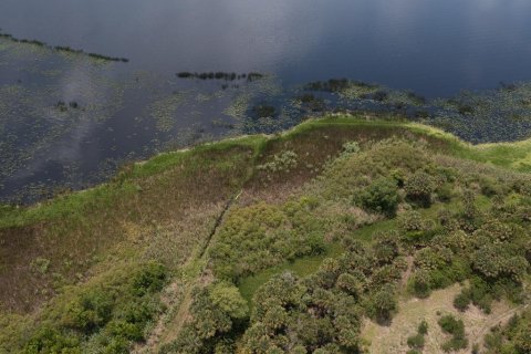 Land in Deltona, Florida № 1245186 - photo 14