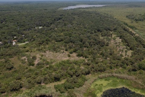 Land in Deltona, Florida № 1245186 - photo 18