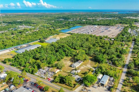 Immobilier commercial à vendre à Hudson, Floride: 285.4 m2 № 1061820 - photo 6