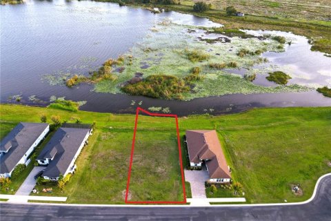 Land in Lake Alfred, Florida № 1357818 - photo 2