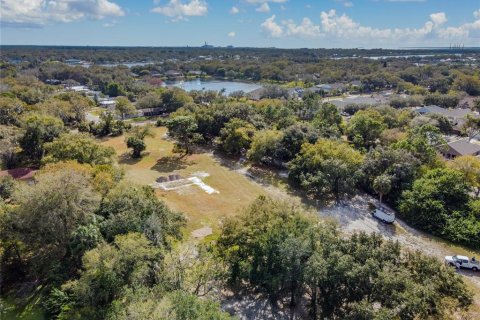 Land in Riverview, Florida № 1280342 - photo 7