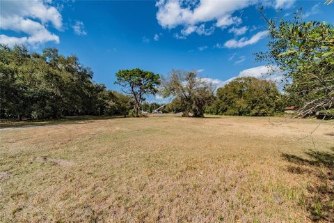 Land in Riverview, Florida № 1280342 - photo 26