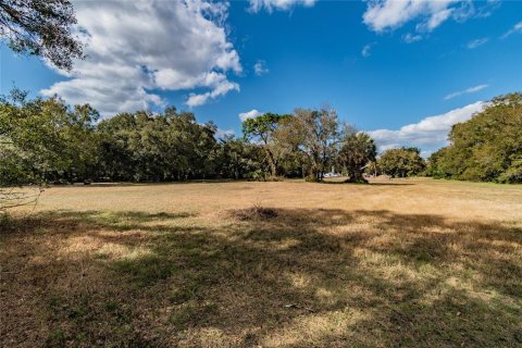 Land in Riverview, Florida № 1280342 - photo 27