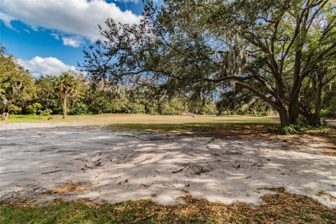 Terreno en venta en Riverview, Florida № 1280342 - foto 30