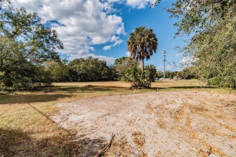 Land in Riverview, Florida № 1280342 - photo 28