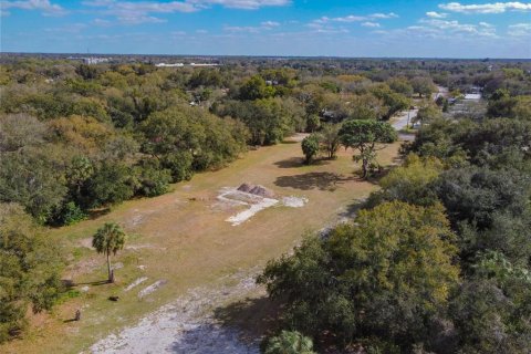 Terreno en venta en Riverview, Florida № 1280342 - foto 3