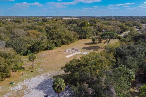 Land in Riverview, Florida № 1280342 - photo 2