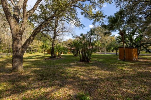 Villa ou maison à vendre à Lutz, Floride: 4 chambres, 294.5 m2 № 1048712 - photo 9