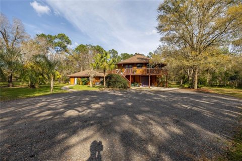 Villa ou maison à vendre à Lutz, Floride: 4 chambres, 294.5 m2 № 1048712 - photo 2