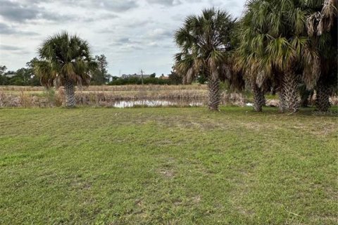 Terreno en venta en Apollo Beach, Florida № 1419323 - foto 3