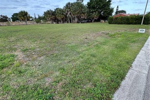 Terreno en venta en Apollo Beach, Florida № 1419323 - foto 5