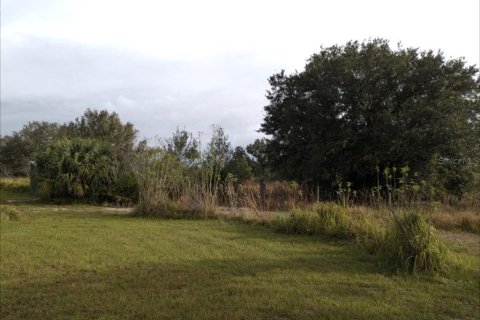 Купить земельный участок в Окичоби, Флорида № 1169926 - фото 4