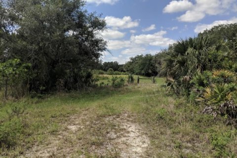 Купить земельный участок в Окичоби, Флорида № 1169926 - фото 2