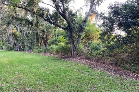 Terreno en venta en Orlando, Florida № 1377905 - foto 3