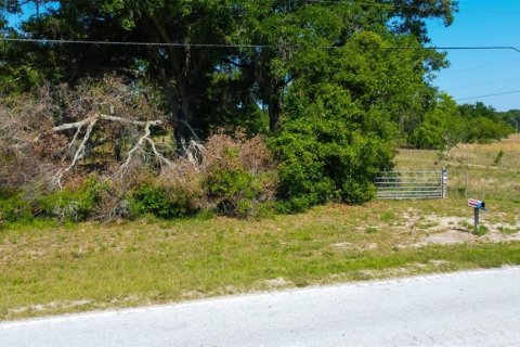 Villa ou maison à vendre à Brooksville, Floride: 2 chambres, 95.97 m2 № 1339410 - photo 3