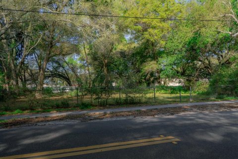 Terreno en venta en Lutz, Florida № 1056553 - foto 5