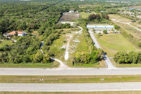 Immobilier commercial à vendre à Cocoa, Floride № 1305547 - photo 7