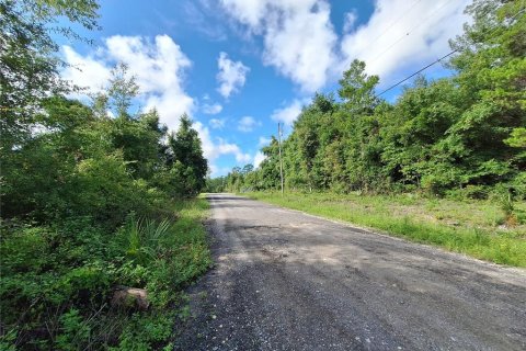 Land in Fort MC Coy, Florida № 1298526 - photo 4