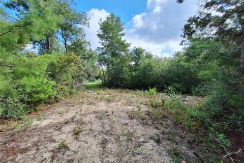 Land in Fort MC Coy, Florida № 1298526 - photo 20