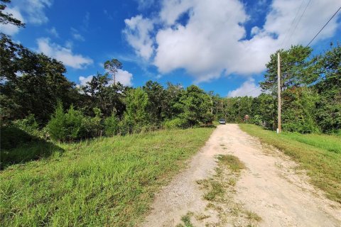 Land in Fort MC Coy, Florida № 1298526 - photo 18