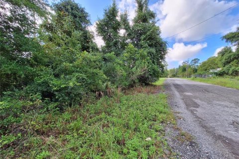 Land in Fort MC Coy, Florida № 1298526 - photo 22