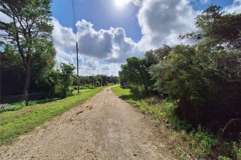 Land in Fort MC Coy, Florida № 1298526 - photo 17