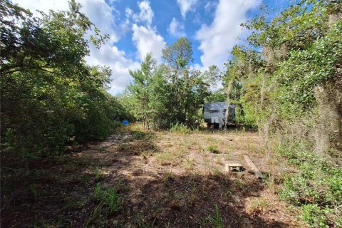 Land in Fort MC Coy, Florida № 1298526 - photo 3