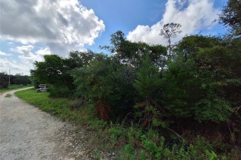 Terreno en venta en Fort MC Coy, Florida № 1298526 - foto 24