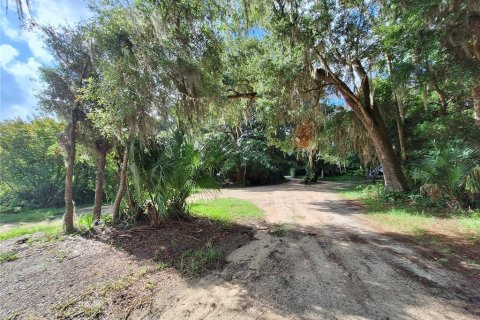 Land in Fort MC Coy, Florida № 1298526 - photo 15