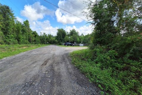 Land in Fort MC Coy, Florida № 1298526 - photo 21