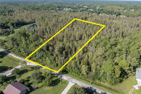 Land in Wesley Chapel, Florida № 1380746 - photo 2