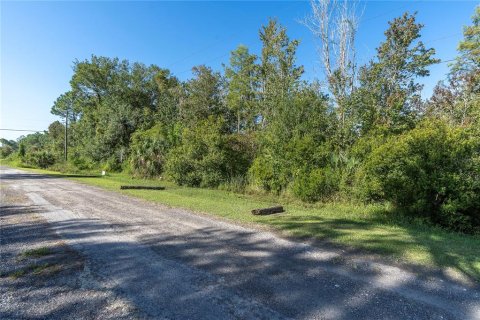 Land in Wesley Chapel, Florida № 1380746 - photo 4