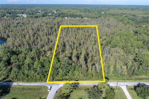 Land in Wesley Chapel, Florida № 1380746 - photo 1